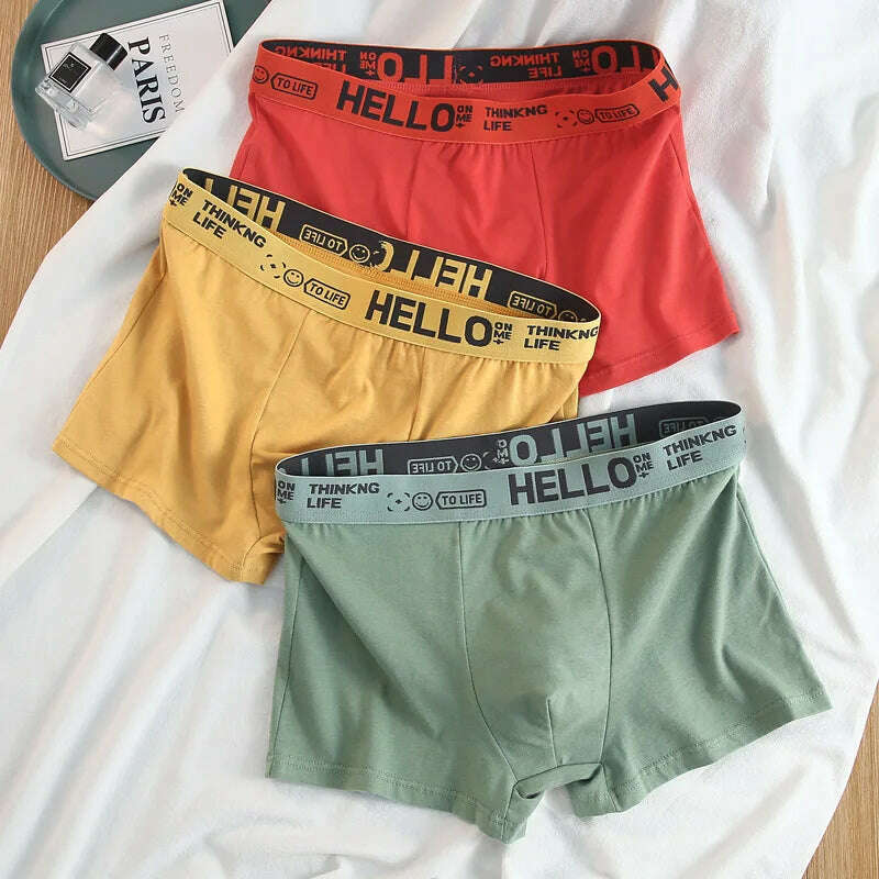 12 pieces Mens Underwear Men Cotton Underpants Male Pure Men Panties Shorts Breathable Boxer Shorts Comfortable soft Plus size - KIMLUD