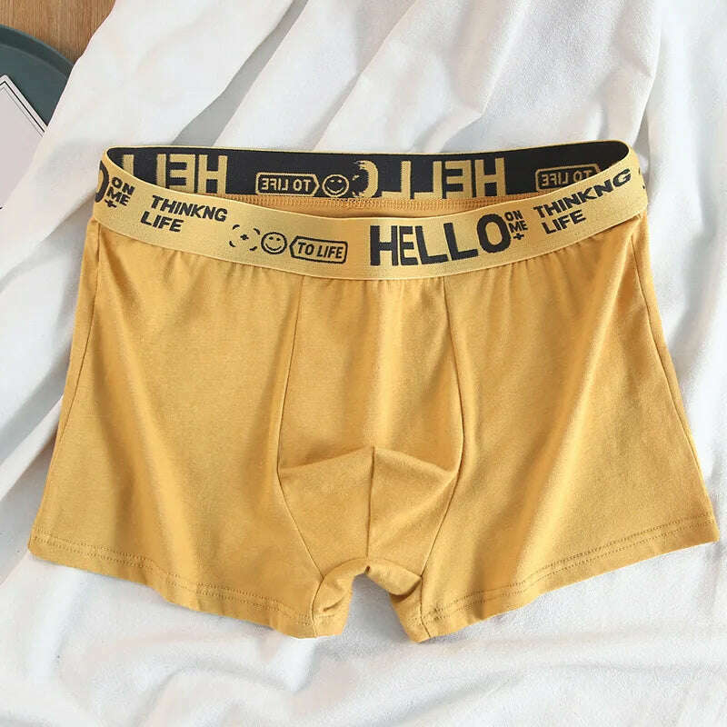 12 pieces Mens Underwear Men Cotton Underpants Male Pure Men Panties Shorts Breathable Boxer Shorts Comfortable soft Plus size - KIMLUD