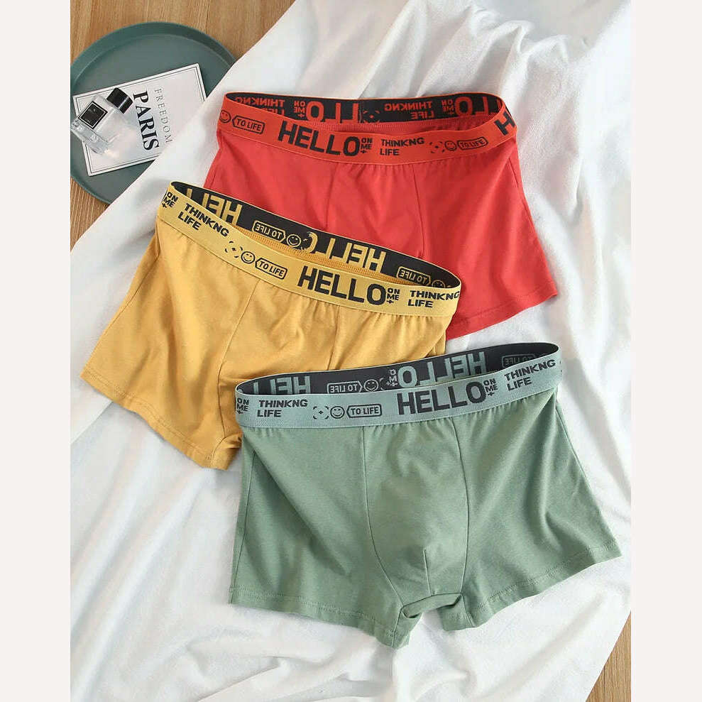 12 pieces Mens Underwear Men Cotton Underpants Male Pure Men Panties Shorts Breathable Boxer Shorts Comfortable soft Plus size - KIMLUD