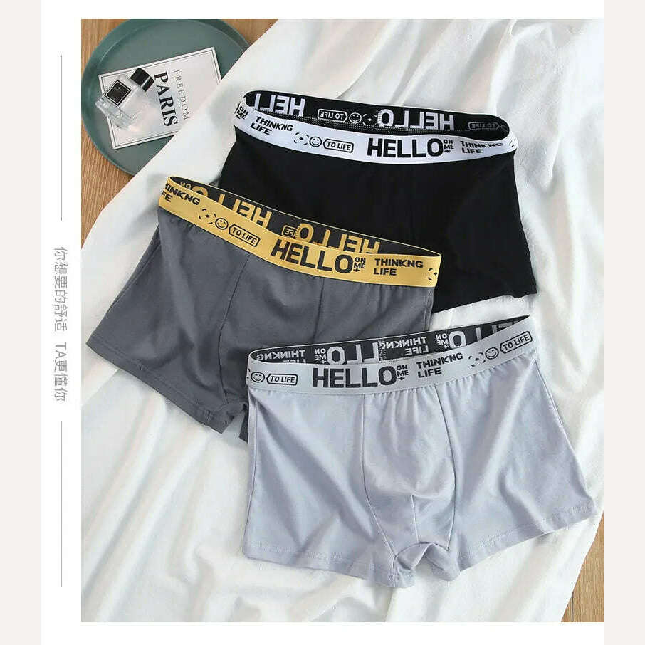 12 pieces Mens Underwear Men Cotton Underpants Male Pure Men Panties Shorts Breathable Boxer Shorts Comfortable soft Plus size - KIMLUD