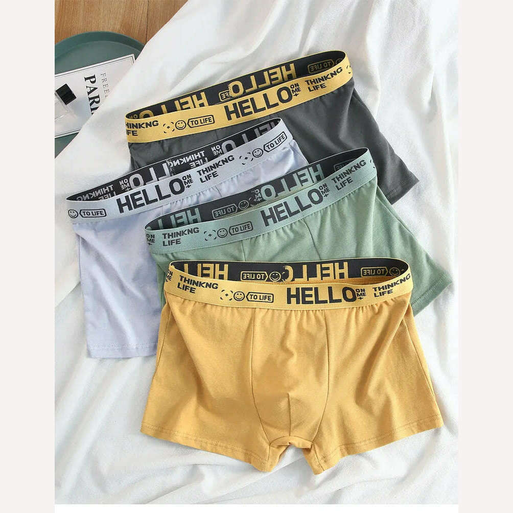 12 pieces Mens Underwear Men Cotton Underpants Male Pure Men Panties Shorts Breathable Boxer Shorts Comfortable soft Plus size - KIMLUD
