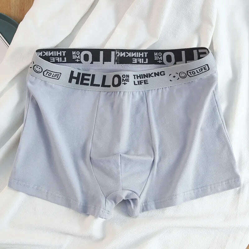 12 pieces Mens Underwear Men Cotton Underpants Male Pure Men Panties Shorts Breathable Boxer Shorts Comfortable soft Plus size - KIMLUD
