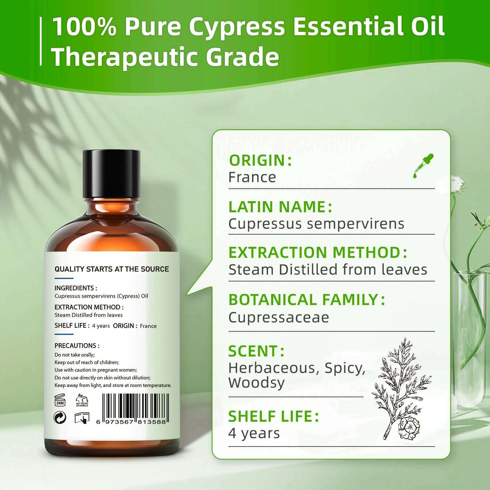 HIQILI 100ML Cypress Essential Oils ,100% Pure Nature for Aromatherapy, Diffuser, Humidifier, Massage, Woody, Relieving stress - KIMLUD