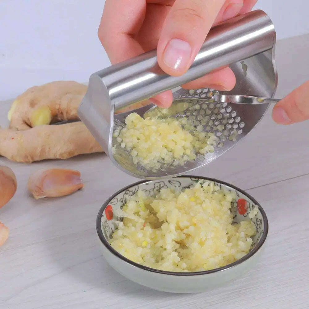 LMETJMA Garlic Press Rocker Stainless Steel Garlic Crusher Garlic Mincer Presses Ginger Press Squeezer Kitchen Gadgets KC0322 - KIMLUD