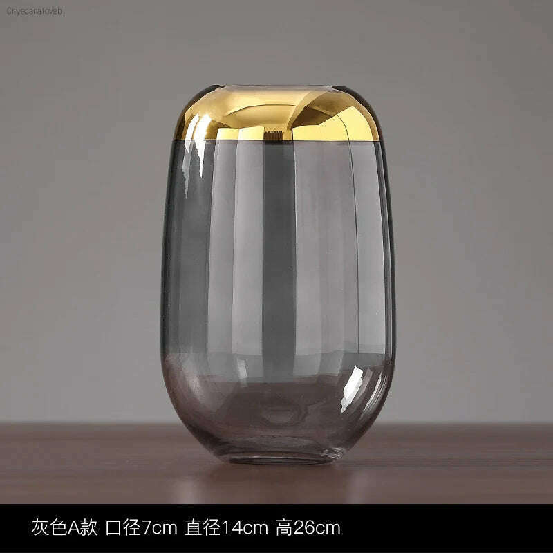 Nordic Light Luxury Phnom Penh Glass Vase Transparent Glass Hydroponic Flower Arrangement Modern Home Decoration Wedding Vase - KIMLUD