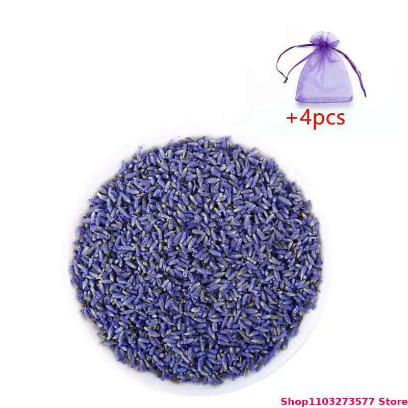 100% High-quality Natural Bulk Lavender Dried Flowers Used For Decorating Candles Making Sachet Crafts Filling Pillowcases - KIMLUD