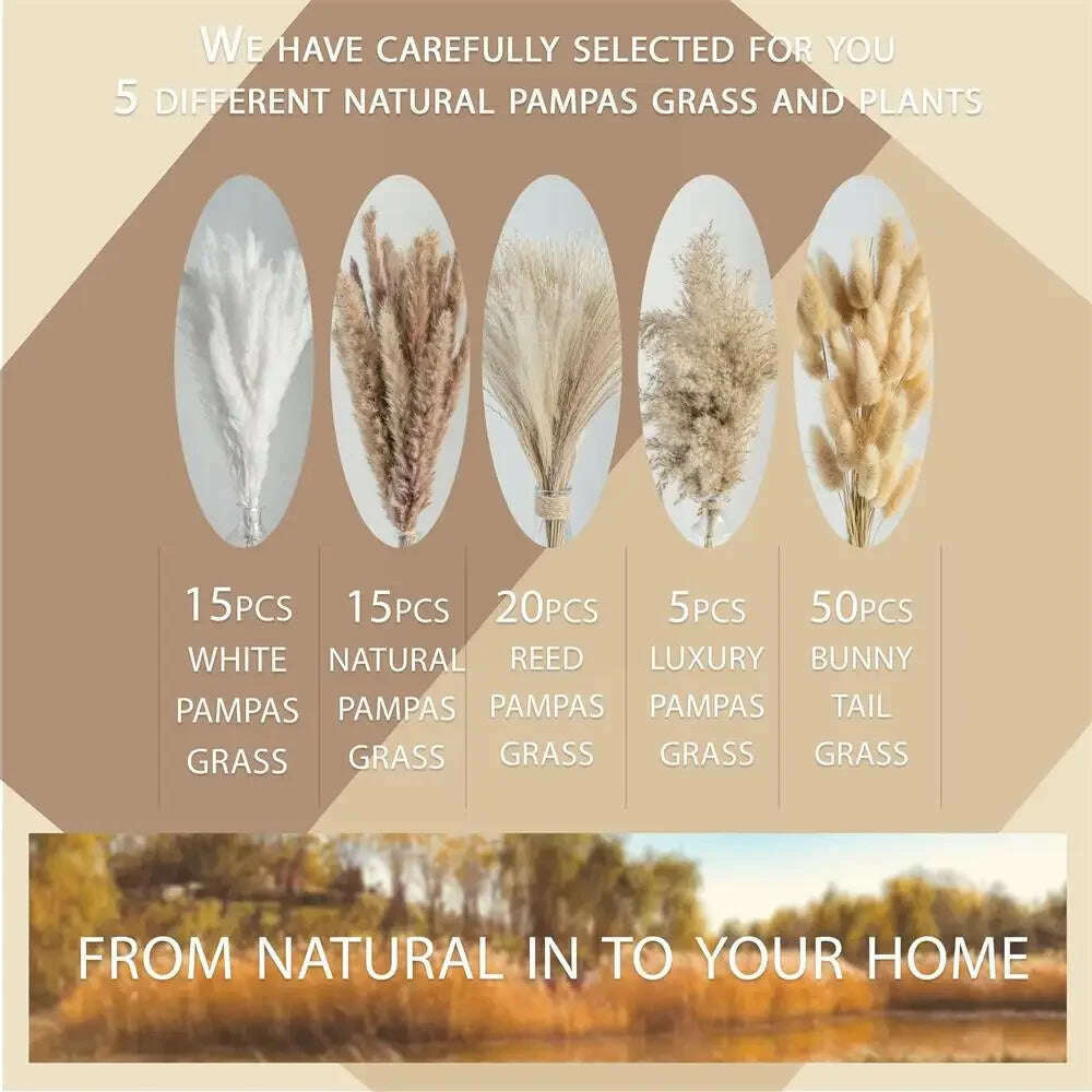 105pcs Natural Dried Flowers Pampas Floral Bouquet Boho Country Home Decoration Rabbit Tail Grass Reed Wedding Decor Arrangement - KIMLUD