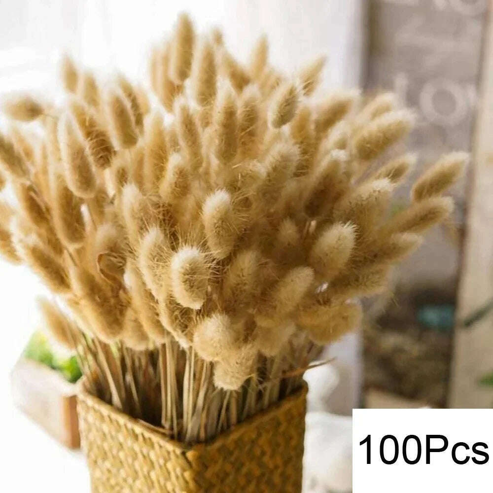 105pcs Natural Dried Flowers Pampas Floral Bouquet Boho Country Home Decoration Rabbit Tail Grass Reed Wedding Decor Arrangement - KIMLUD