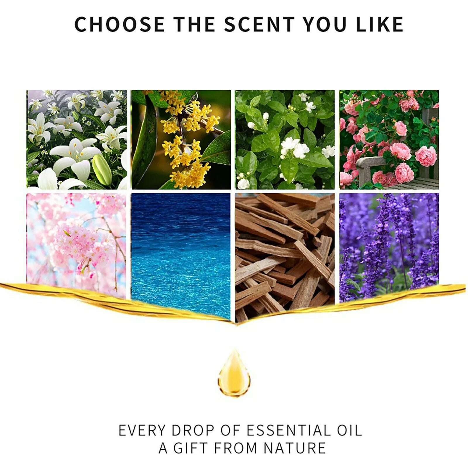 10ml Water-Soluble Aromatherapy Oil, 19 Kinds of Scents, Cozy Home Atmosphere, Suitable for Humidifiers & Flameless Diffusers - KIMLUD