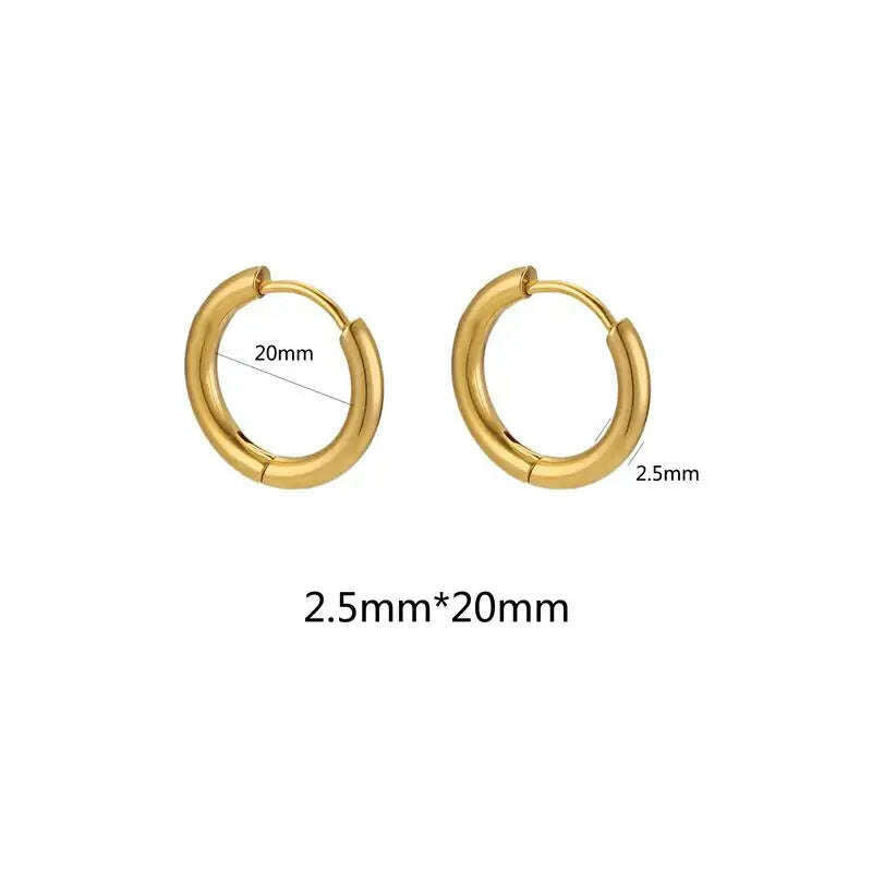 KIMLUD, 10pcs Stainless Steel Small Hoops Earring 8-20mm Women Men Piercing Ear Cartilage Stainles Steel Round Circle Pendientes, 2.5mmx20mm-gold, KIMLUD APPAREL - Womens Clothes