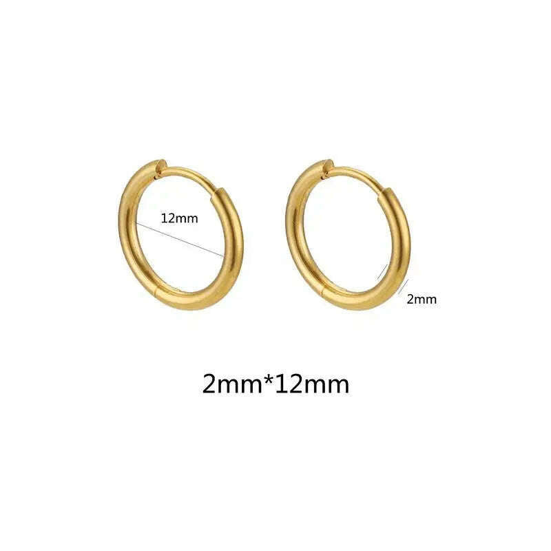 KIMLUD, 10pcs Stainless Steel Small Hoops Earring 8-20mm Women Men Piercing Ear Cartilage Stainles Steel Round Circle Pendientes, 2mmx12mm-gold, KIMLUD APPAREL - Womens Clothes