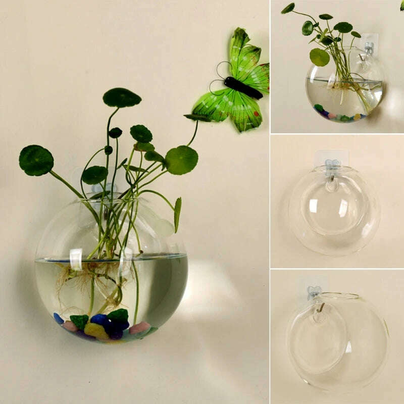 KIMLUD, 8cm/10cm/12cm Wall Hanging Hydroponic Glass Vase Small Hanging Fish Tank Wall Mount Glass Vase Landscape Decoration, KIMLUD Womens Clothes