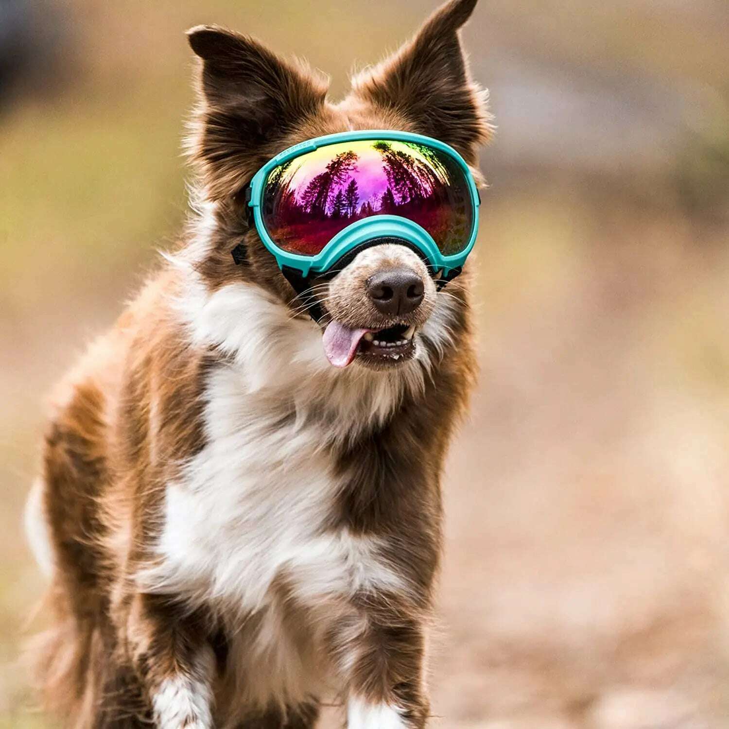 ATUBAN Dog Goggles Anti UV Strong Impact Resistance Adjustable Elastic Puppy Large Breed Dog Goggles Breathable Pet Sunglasses - KIMLUD