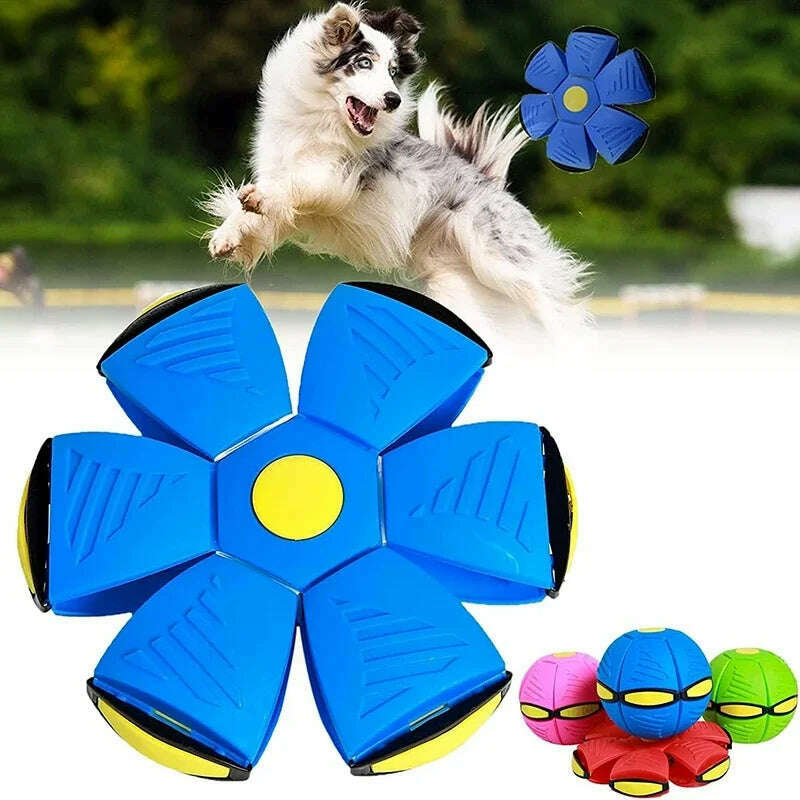 Dog Toys Magic Funny Pet Toy Flying Saucer Outdoor Dog Training Toy Pelota Perro Dogs Accessoires Futurism Saucer Ball - KIMLUD