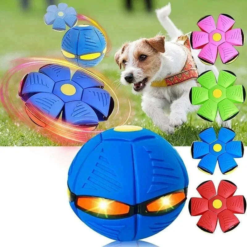 KIMLUD, Flying Disc Interactive Flying Saucer Ball Dog Toys Transformable Outdoor Dog Training Toy Pelota Dogs Training Toys Accessoire, KIMLUD Womens Clothes