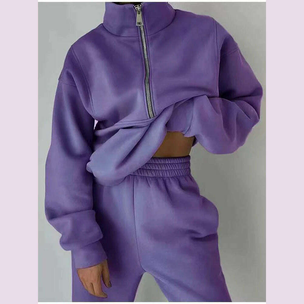 KIMLUD, Gray Thick Warm Women Tracksuit 2 Piese Set Winter Pink Fleece Sweatpants And Sweatshirts Purple Suit Set Women Pants Set Ladies, Purple / S, KIMLUD APPAREL - Womens Clothes