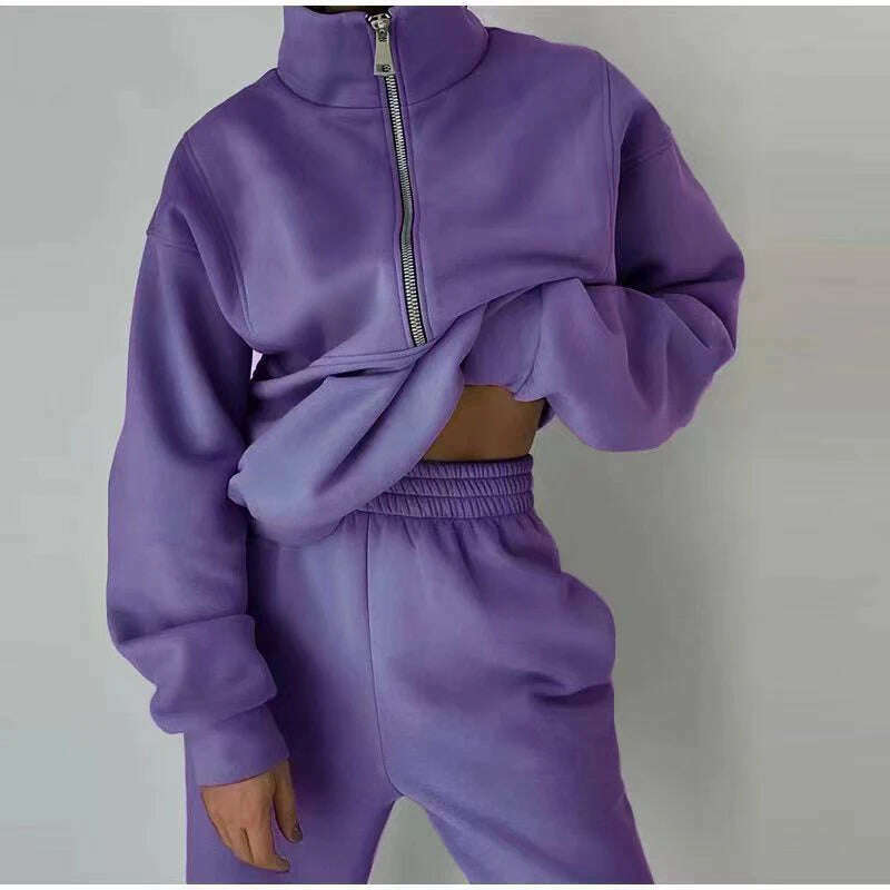 KIMLUD, Gray Thick Warm Women Tracksuit 2 Piese Set Winter Pink Fleece Sweatpants And Sweatshirts Purple Suit Set Women Pants Set Ladies, KIMLUD Womens Clothes