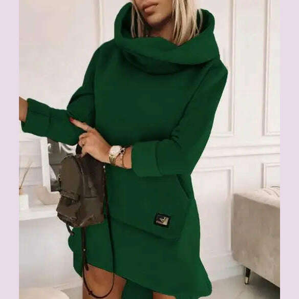 KIMLUD, High Neck Long Sleeve Sweatshirt Casual Dress Women Autumn Winter Hoodie Fashion Loose Mini Dress Pockets, dg / S, KIMLUD APPAREL - Womens Clothes