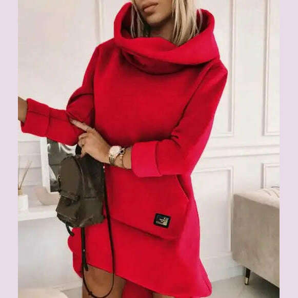 KIMLUD, High Neck Long Sleeve Sweatshirt Casual Dress Women Autumn Winter Hoodie Fashion Loose Mini Dress Pockets, r / S, KIMLUD APPAREL - Womens Clothes