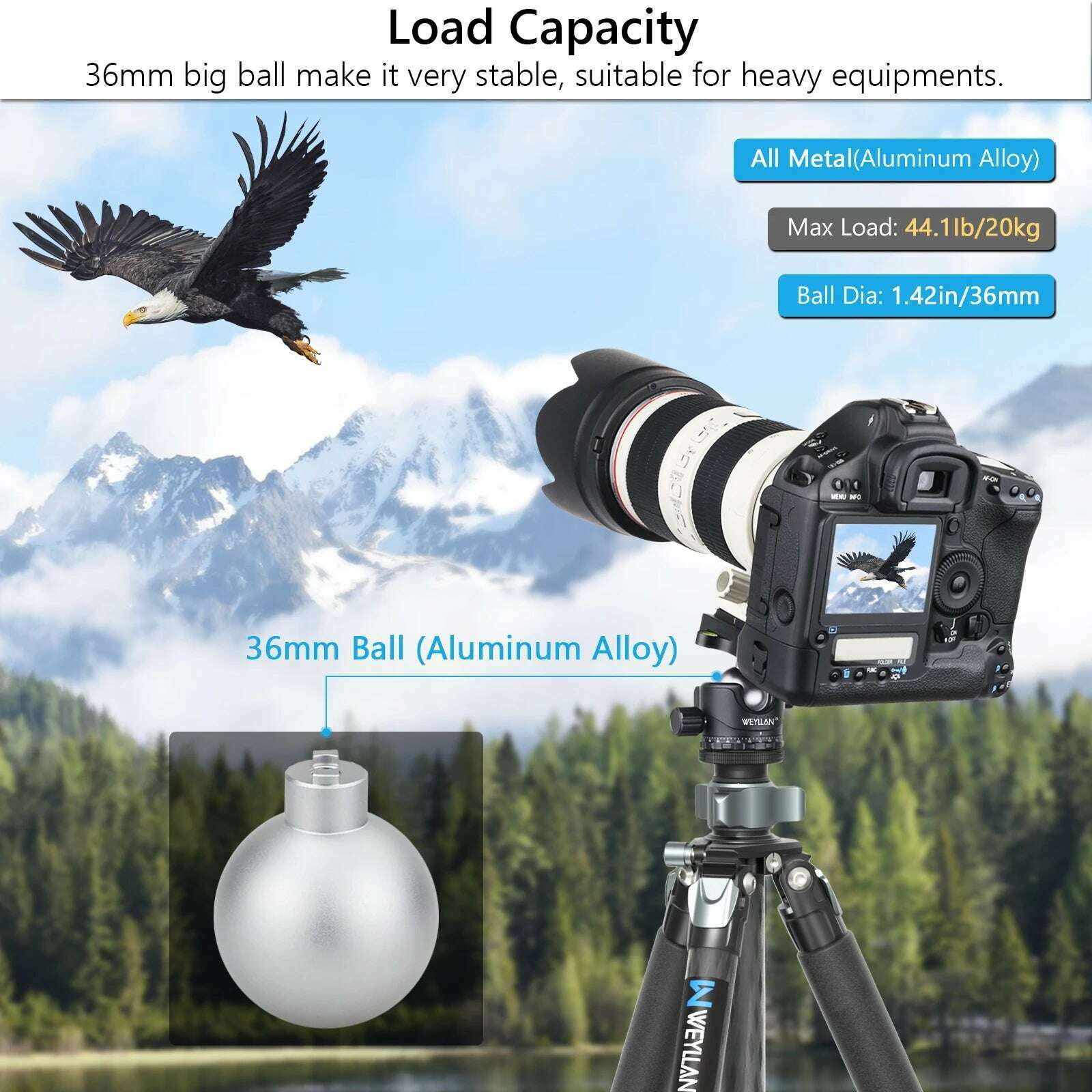 KIMLUD, Tripod Head Camera Professional Low Profile Video Ball Head Mount 360 Panoramic Universal Ballhead for DSLR Tripod Monopod EB36S, KIMLUD Womens Clothes