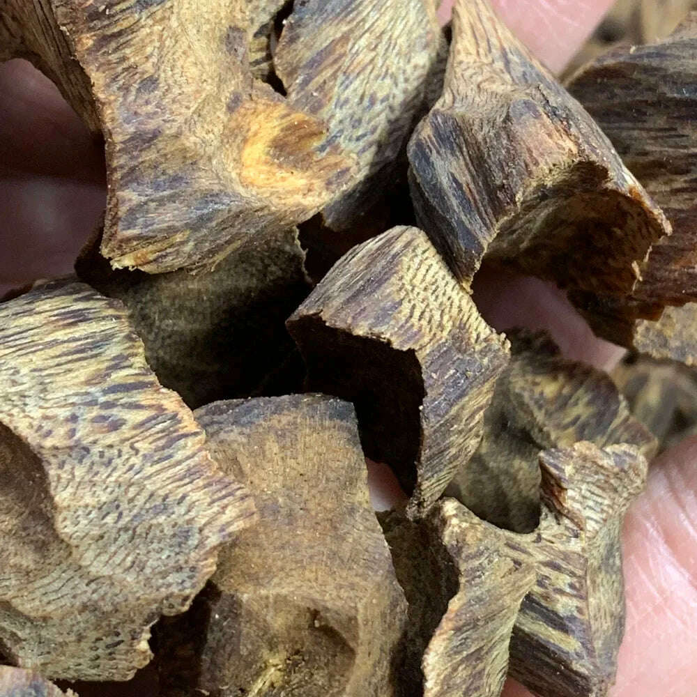 Wholesale Genuine Chinese Kynam Incense Wood Chips Yellow Oil Natural Qi Nan Fragrance Home Fresh Room Aroma - KIMLUD