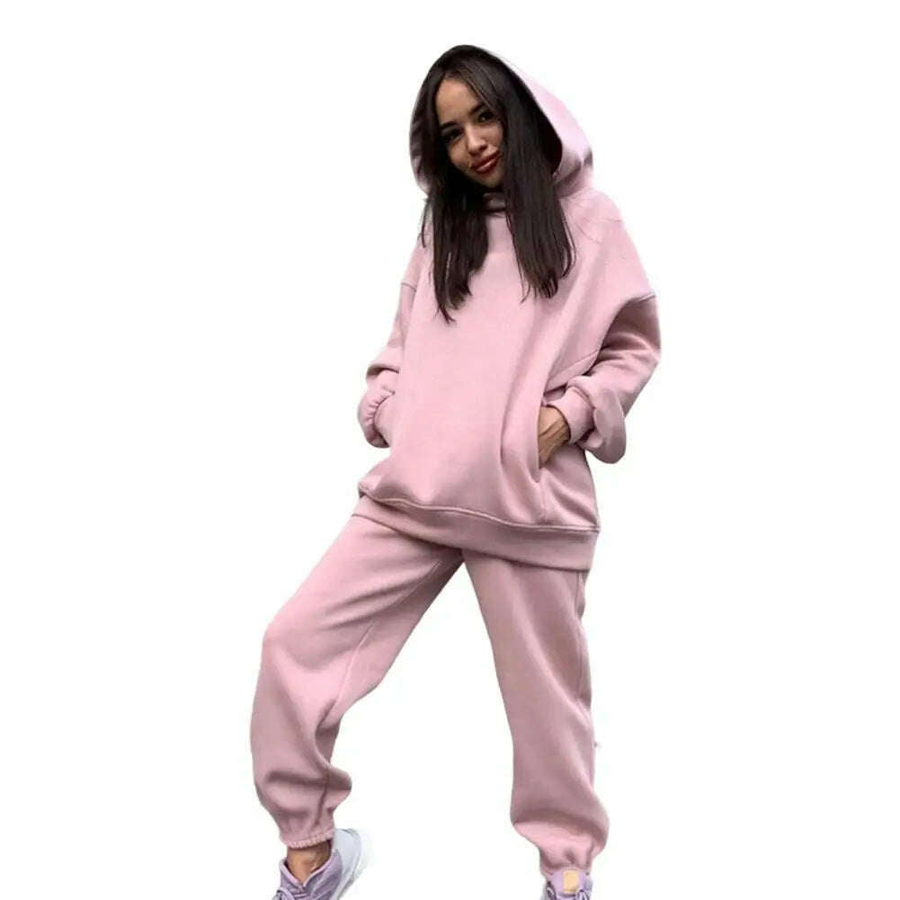 KIMLUD, Women Two Piece Sets Tracksuit Hooded Sweatshirt Tops Sweatpants Pants Set Female Spring Autumn Long Sleeve Pullover Sports Set, Pink / S, KIMLUD APPAREL - Womens Clothes